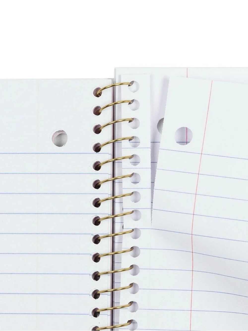 NWT LoveShackFancy x Yoobi Everblooming Rosettes 1 Subject Notebook